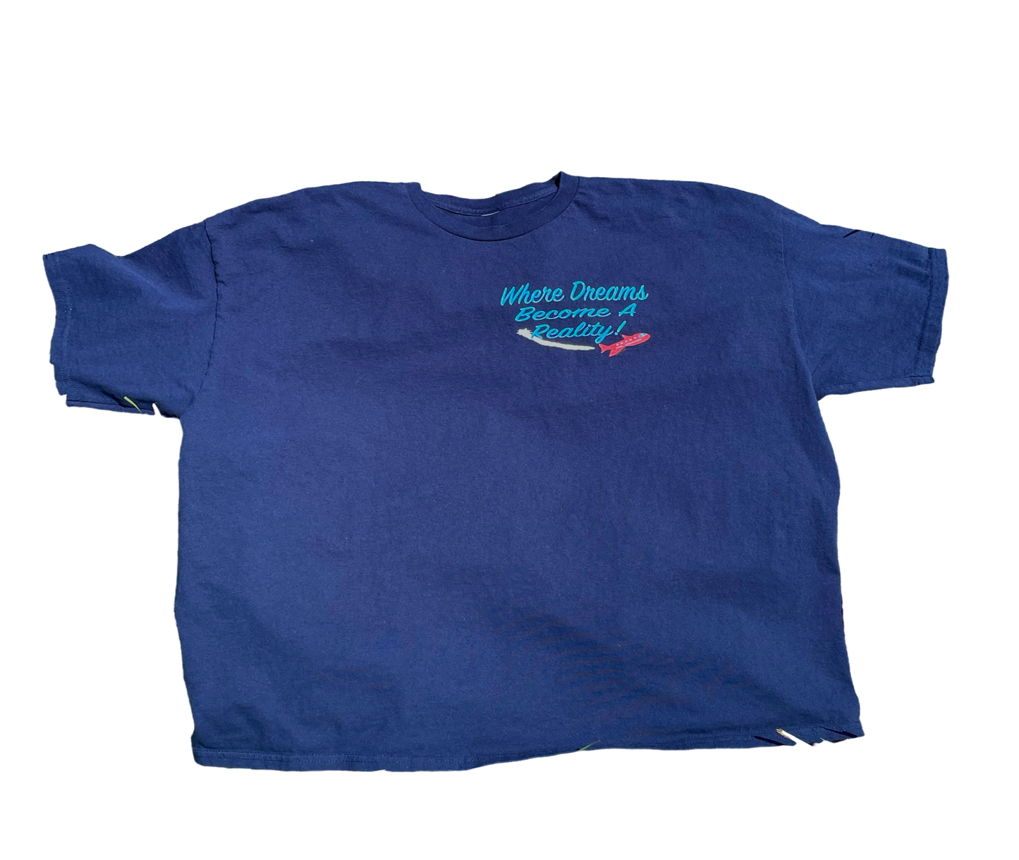 P2G AIRLINES VI tee